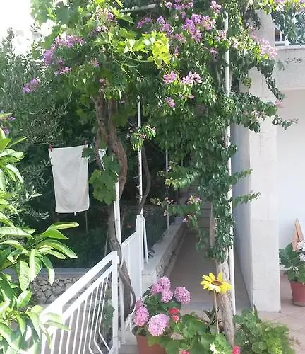 Dragan * トロギール