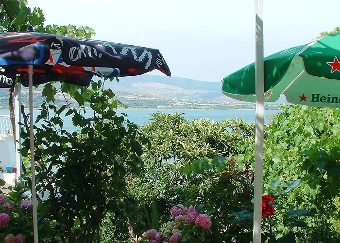 Dragan トロギール