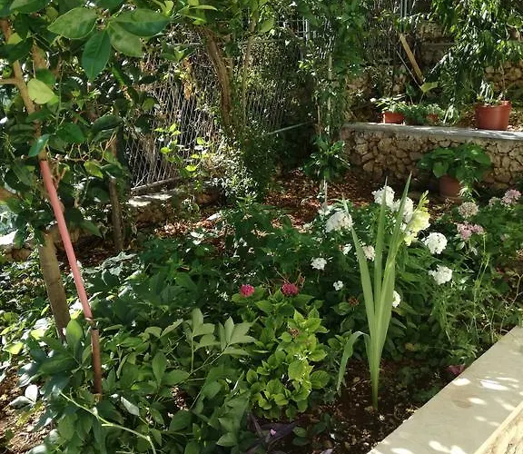 Dragan * Трогір